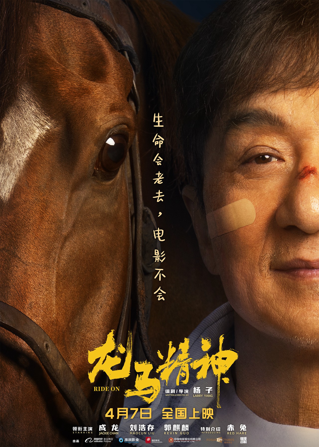慢热型深夜排片