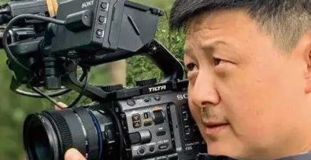 伪记录职场体验